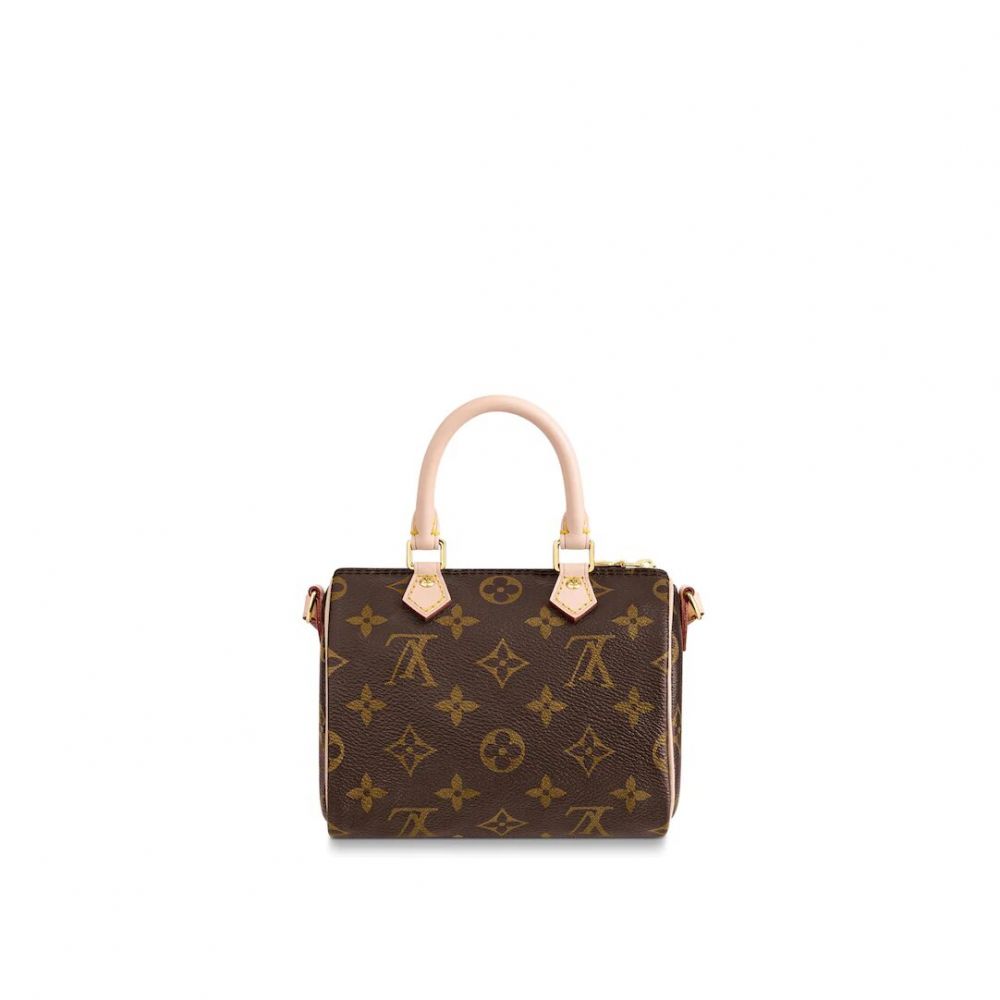 louis-vuitton-m61252_pm1_back_view.jpg