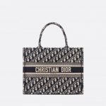 Dior Small Book Tote Blue Oblique Embroider Bag