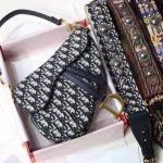 Dior Saddle Original Dior Oblique Embroidered Canvas Bag