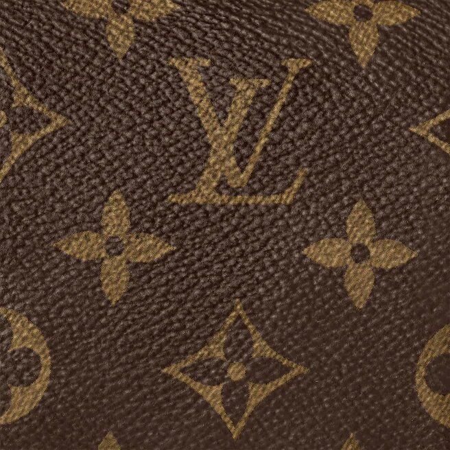 louis-vuitton-m61252_pm1_detail_view.jpg