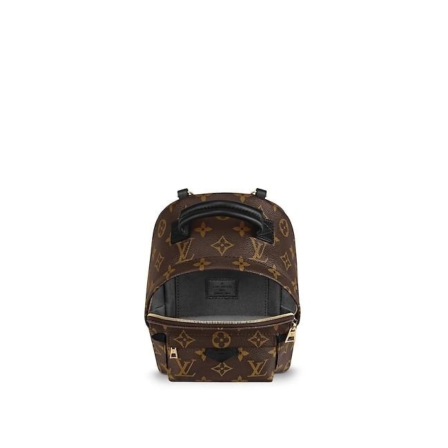 louis-vuitton-palm-springs-backpack-mini-monogram-canvas-handbags-m41562_2_pm1_interior_view-1.jpg
