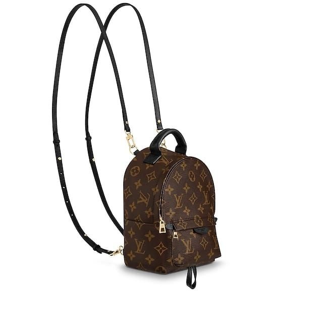 louis-vuitton-palm-springs-backpack-mini-monogram-canvas-handbags-m41562_2_pm1_side_view-1.jpg