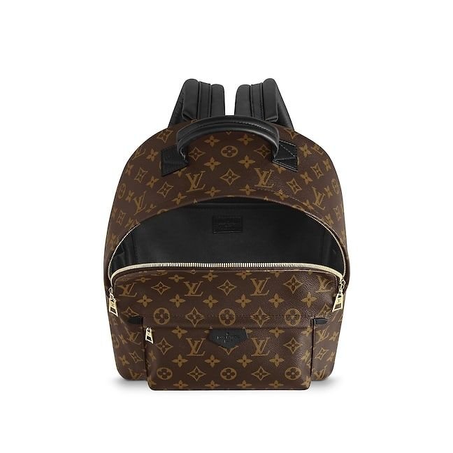 louis-vuitton-palm-springs-backpack-mm-monogram-canvas-handbags-m41561_2_pm1_interior_view-1.jpg