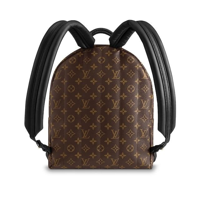 louis-vuitton-palm-springs-backpack-mm-monogram-canvas-handbags-m41561_2_pm1_other_view-1.jpg