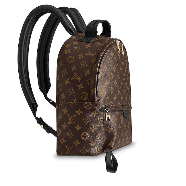 louis-vuitton-palm-springs-backpack-mm-monogram-canvas-handbags-m41561_2_pm1_side_view-1.jpg
