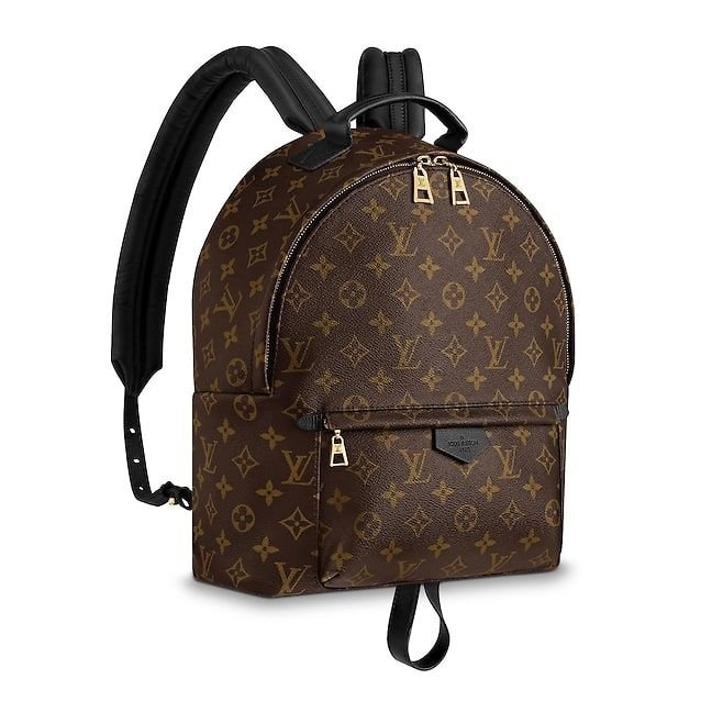 louis-vuitton-palm-springs-backpack-mm-monogram-canvas-handbags-m41561_2_pm2_front_view-1.jpg