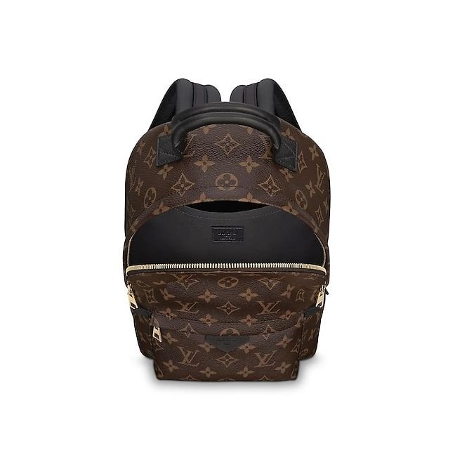 louis-vuitton-palm-springs-backpack-pm-monogram-canvas-handbags-m41560_pm1_interior_view-1.jpg