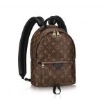 Louis Vuitton Palm Springs Backpack PM