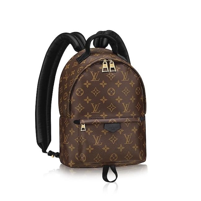 louis-vuitton-palm-springs-backpack-pm-monogram-canvas-handbags-m41560_pm2_front_view-1.jpg
