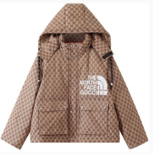 GUCCI THE NORTH FACE COAT BROWN