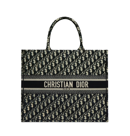 DIOR BOOK TOTE Blue Dior Oblique Embroidery