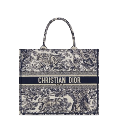 Dior Book Tote Three quarter closed view Open gallery