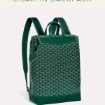 Goyard Alpin MM Backpack