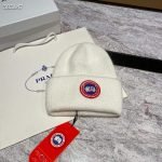 Canada goose beanie