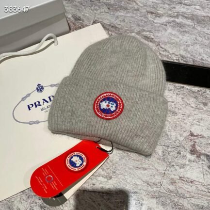 Canada goose beanie