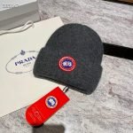 Canada goose beanie
