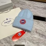 Canada goose beanie