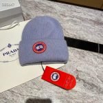 Canada goose beanie